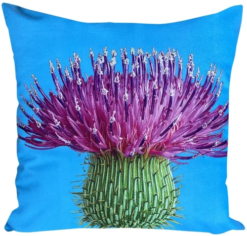 Velours kussensloop distel JCL-660