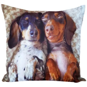 Velours kussenhoes honden JCL-695