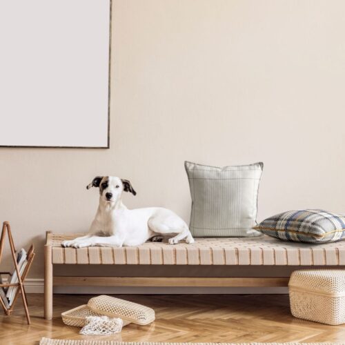 Fluwelen kussensloop met print JXY-01