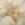 Deken met bloemenprint K148-A