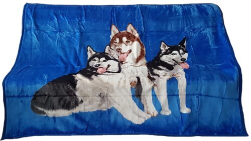 Deken KW2 blauw