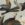 vogel-detail